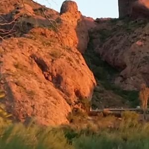 Meet your Posher, Rose